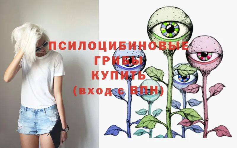 Галлюциногенные грибы MAGIC MUSHROOMS  OMG как войти  Демидов 